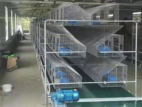 福清子母兔子籠批發(fā) 云蒙湖籠具廠歐式兔籠與鞋帽批發(fā)的跨界商機(jī)